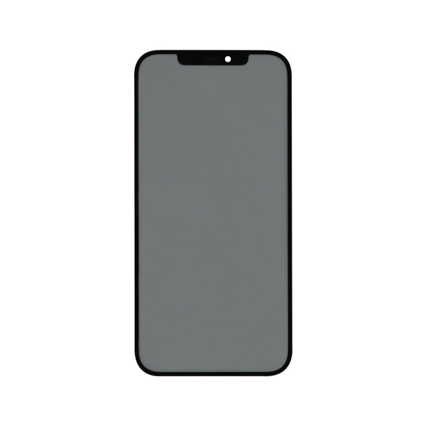 Iphone 12 Pro Max front glas mit OCA